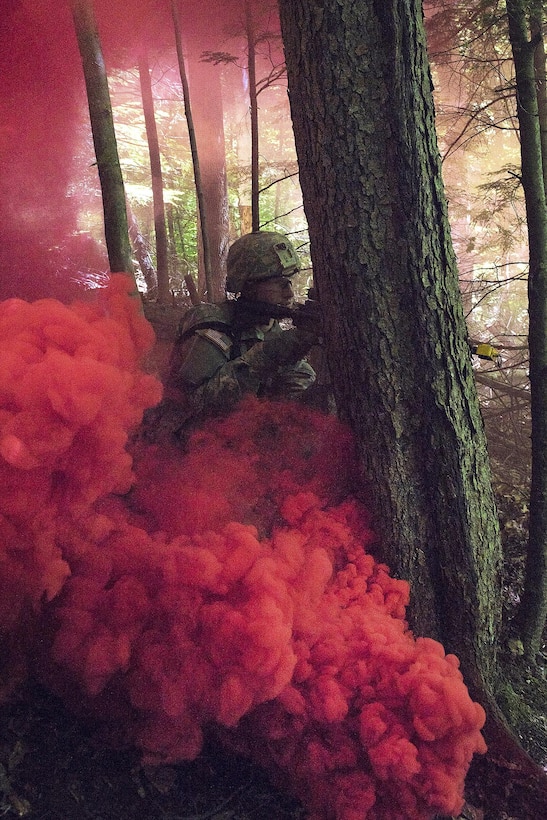 Army Spc. Forrest Watkins provides security before advancing under the cover of smoke to his next objective during annual training at Camp Ethan Allen Training Site, Jericho, Vt., June 15, 2016. Watkins is assigned to the Vermont National Guard’s Company A, 3rd Battalion, 172nd Infantry Regiment, 86th Infantry Brigade Combat Team. Air National Guard photo by Tech. Sgt. Sarah Mattison