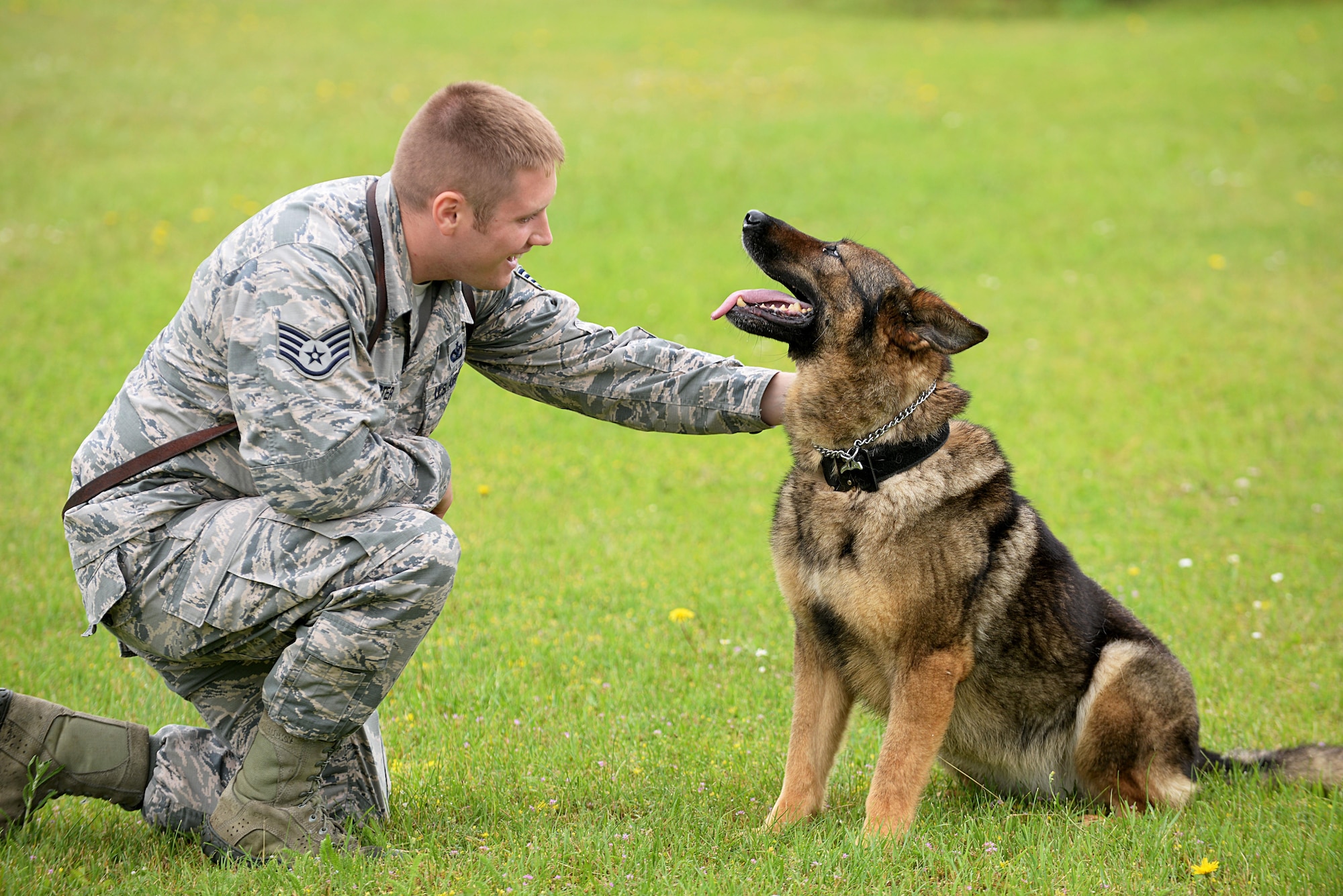 U.S. Air Force Staff Sgt. Roy Carter, 100th Security Forces Squadron Military Working Dog trainer, pets his dog Gina June 23, 2016, on RAF Mildenhall, England. Gina is equivalent to a technical sergeant. In the MWD community, it’s an unspoken rule that the dogs will be treated as if they were one rank above their handler. (U.S. Air Force photo by Airman 1st Class Tenley Long/Released) 
