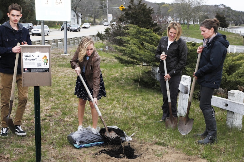 Maddy Ames, a student with the Cape Cod Learners Cooperative, helps plant a Chestnut tree during the unveiling event on May 1, 2016.