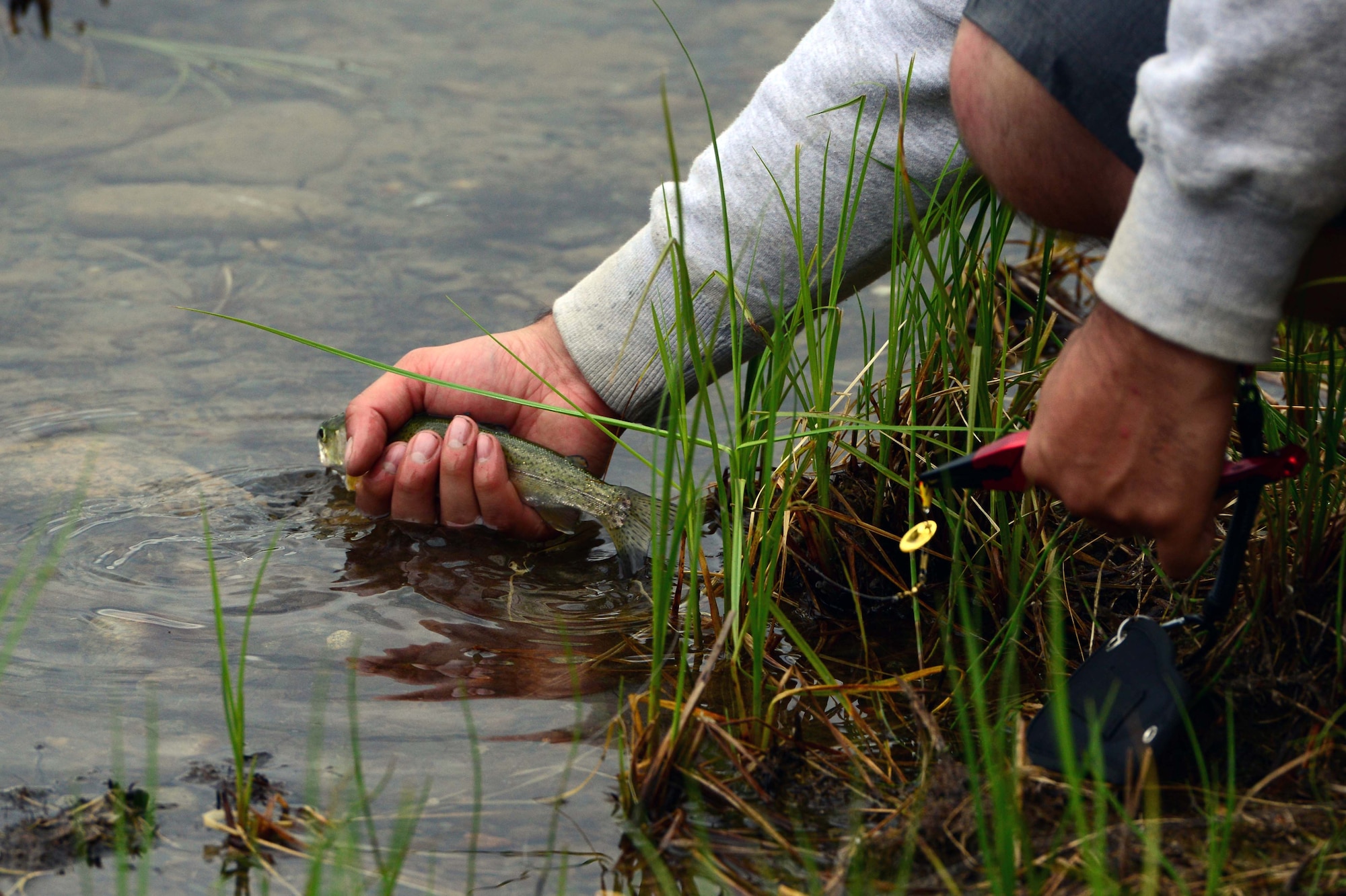Trevor Bird, Otter Lake manager, releases the days first catch at the Introduction to Fishing Class, at Otter Lake at Joint Base Elmendorf-Richardson, Alaska, June 23, 2016. Interested fishers on JBER can rent fishing equipment at the Outdoor Recreation Center. (U.S. Air Force photo by Airman 1st Class Javier Alvarez) 
