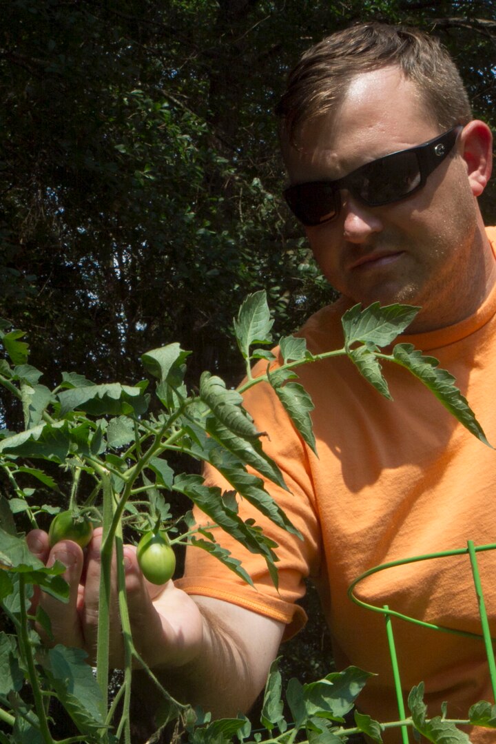 U.S. Army Staff Sgt. Michael Hutcheson, South Carolina National Guard, gardens at his home in Irmo, South Carolina, June 27, 2016, in order to gain a sense of purpose separate from being a Soldier to combat certain Post Traumatic Stress Disorder symptoms. Hutcheson has been battling PTSD as a result of multiple combat deployments in support of both Operation Iraqi Freedom and Operation Enduring Freedom.