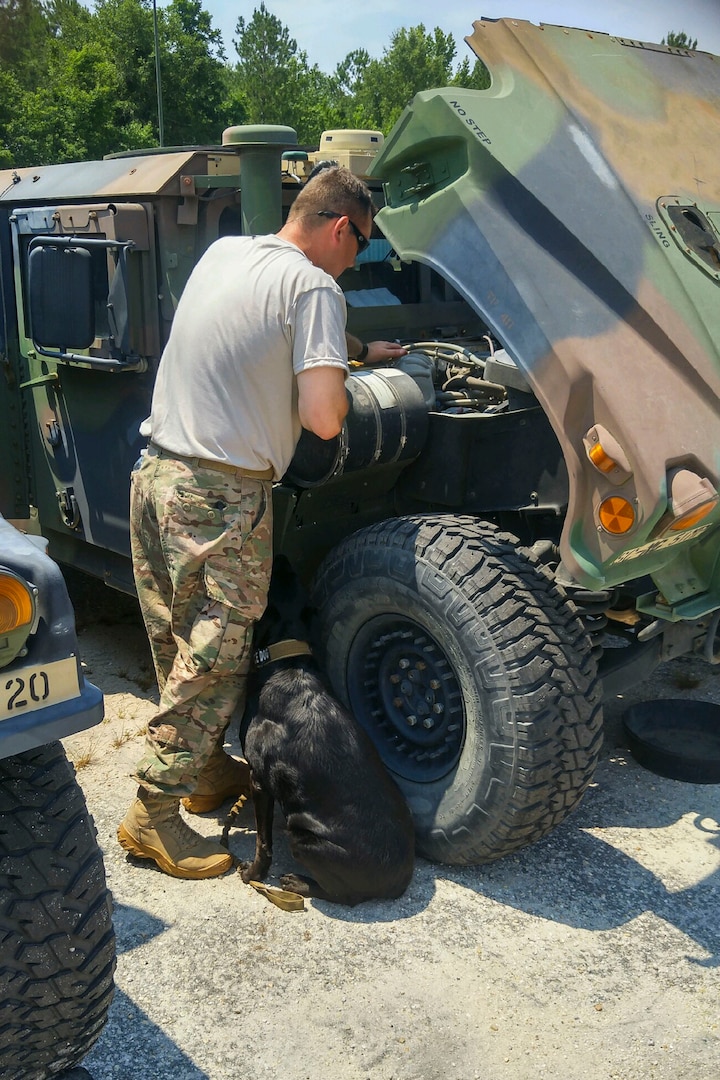 U.S. Army Staff Sgt. Michael Hutcheson, 133rd Military Police Company, South Carolina Army National Guard, works on his military vehicle while his service dog Samantha stands by for support to assist him combat certain Post Traumatic Stress Disorder symptoms while at drill in Timmonsville, S.C., June 25, 2016. Hutcheson has been battling PTSD as a result of multiple combat deployments in support of both Operation Iraqi Freedom and Operation Enduring Freedom. 