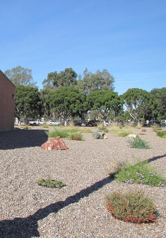 The U.S. Army Reserve’s 63rd Regional Support Command installed a xeriscape at Holderman Hall Reserve Center in Los Angeles, California. This xeriscape features plants that are adapted to the unique climate conditions and environmental characteristics of southern California, so they require less water and maintenance. Photo courtesy of Varun Sood, 63rd RSC.