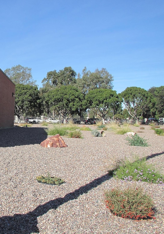 The U.S. Army Reserve’s 63rd Regional Support Command installed a xeriscape at Holderman Hall Reserve Center in Los Angeles, California. This xeriscape features plants that are adapted to the unique climate conditions and environmental characteristics of southern California, so they require less water and maintenance. Photo courtesy of Varun Sood, 63rd RSC.