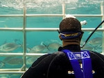 Staff Sgt. Gordon L. Williams, an infantry unit leader, looks out for great white sharks near Neptune Island Marine Park, South Australia, Australia, June 26, 2016. U.S. Marines and sailors with Marine Rotational Force – Darwin had the rare opportunity to dive with sharks before Exercise Hamel begins. Williams, from Homerville, Georgia, is with Company C, 1st Battalion, 1st Marine Regiment, MRF-D.