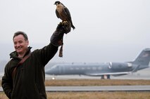 Charlie, a pelegrine falcon, stands by with its handler for a call near the Ramstein Air Base flightline Feb. 4, 2009. Charlie scares all other birds off the flightline so they don't interfere with inbound or outbound flights. (U.S. Air Force photo by Airman 1st Class Grovert Fuentes-Contreras)