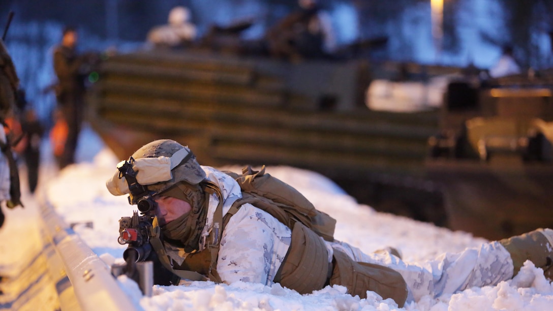 Marines from the Combined Arms Company support NATO allies and partners with ground-combat capabilities in the Namsos fjord during the final training event of Exercise Cold Response 16. The cold-weather training integrated air, land and sea capabilities of 13 nations and more than 15,000 troops to improve capacity to coordinate and respond to threats as a team.