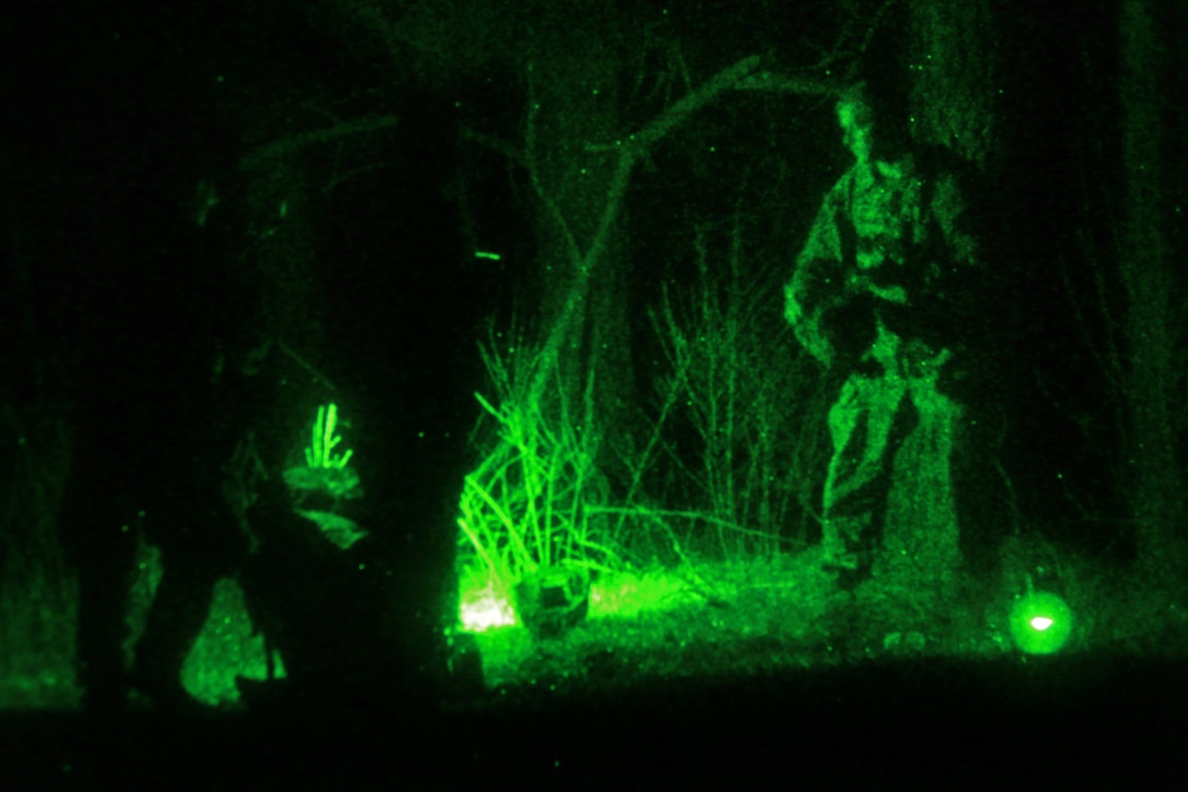 As seen through a night-vision device, soldiers role-playing as an opposing force wait for paratroopers during an air assault exercise on Fort Pickett, Va., Feb. 29, 2016. The soldiers are assigned to the 82nd Airborne Division’s 1st Battalion, 505th Parachute Infantry Regiment, 3rd Brigade Combat Team. Army photo by Staff Sgt. Christopher Freeman