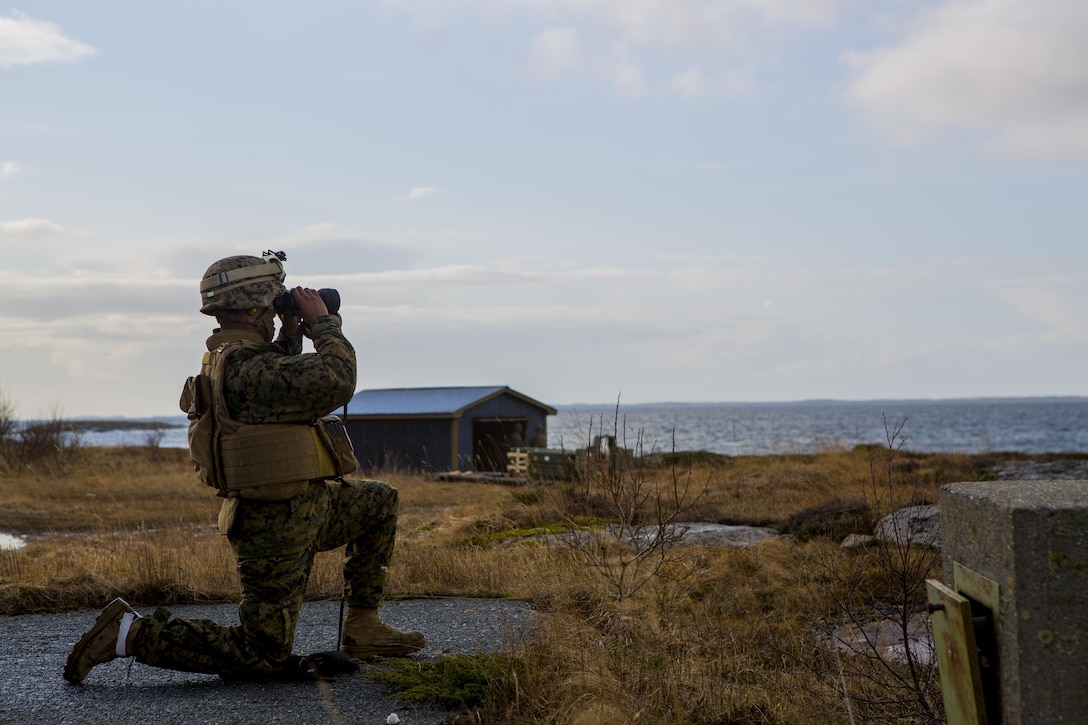U.S. Marine Corps Capt. Justin Gaines uses binoculars to view the impact after a FIM-92C Stinger missile has been fired as part of Exercise Cold Response 16 at Orland, Norway, Feb. 24, 2016. Gaines is assigned to Bravo Battery, 2nd Low Altitude Air Defense Battalion. Marine Corps photo by Cpl. Rebecca Floto
