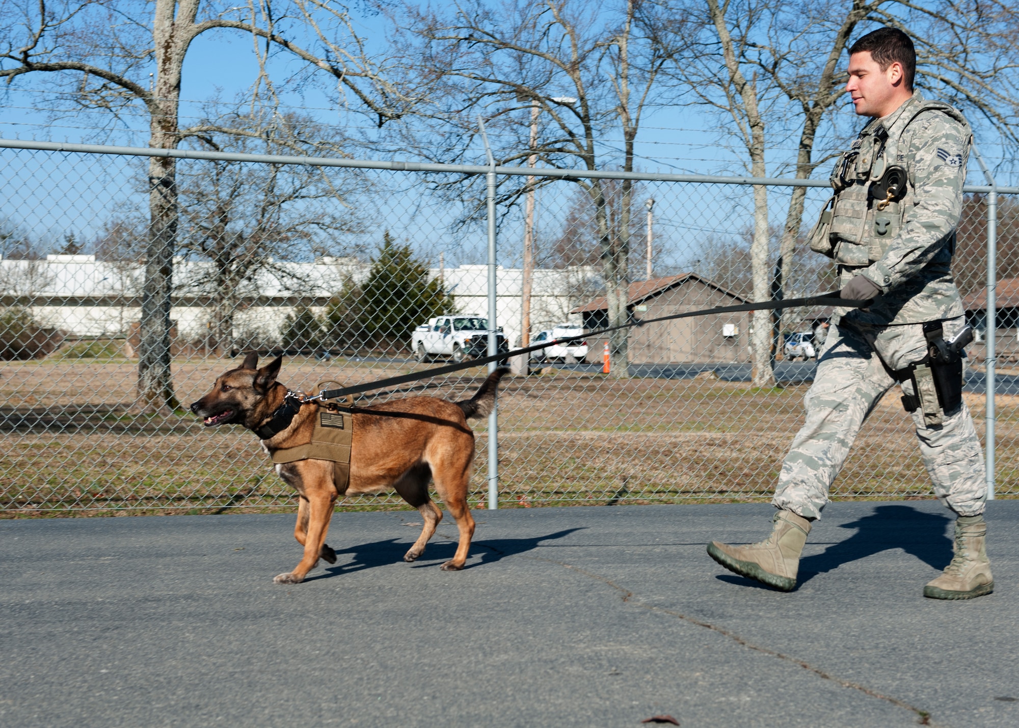 U.S. Air Force Senior Airman Eduardo Alcaraz, 19th Security Forces K-9 handler, walks with Military Working Dog Alfa to a training scenario Feb. 25, 2016, at Little Rock Air Force Base, Ark. K-9 teams participated in a variety of scenarios including building searches and narcotics detection.  (U.S. Air Force photo by Airman 1st Class Mercedes Taylor) 