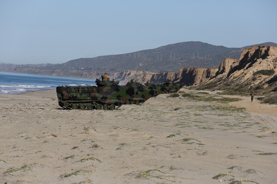 Amphibious Assault Vehicles set a defense as the remaining AAV-7s assault the beach on Camp Pendleton Feb. 25, 2016. The exercise evaluated the readiness of the Marines of Company A, 3rd Assault Amphibian Battalion prior to their deployment to Okinawa, Japan. (U.S. Marine Corps photo by Lance Cpl. Timothy Valero/ Released)