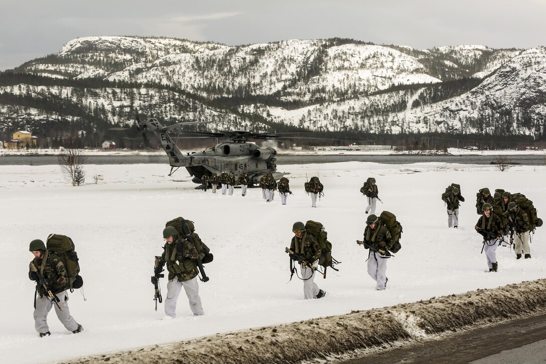 U.S. Norwegian, Dutch and U.K. troops train during Exercise Cold Response 16 near Namsos, Norway, March 2, 2016. Norway's cold environment challenges the air, land and sea capabilities from 13 NATO allies and partners while improving their collective capacity to respond and operate as a team. Marine Corps Master Sgt. Chad McMeen