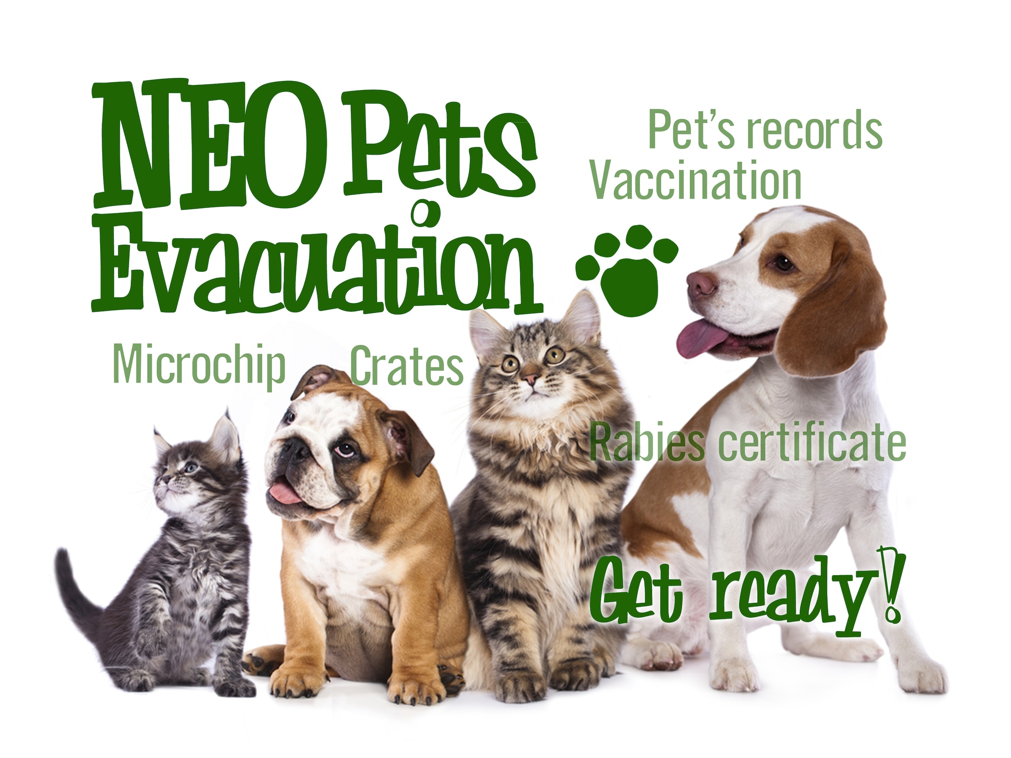 Eight things that Kadena pet owners should know about their pets regarding the Noncombatant Evacuation Operation process.  (U.S. Air Force graphic by Naoko Shimoji)