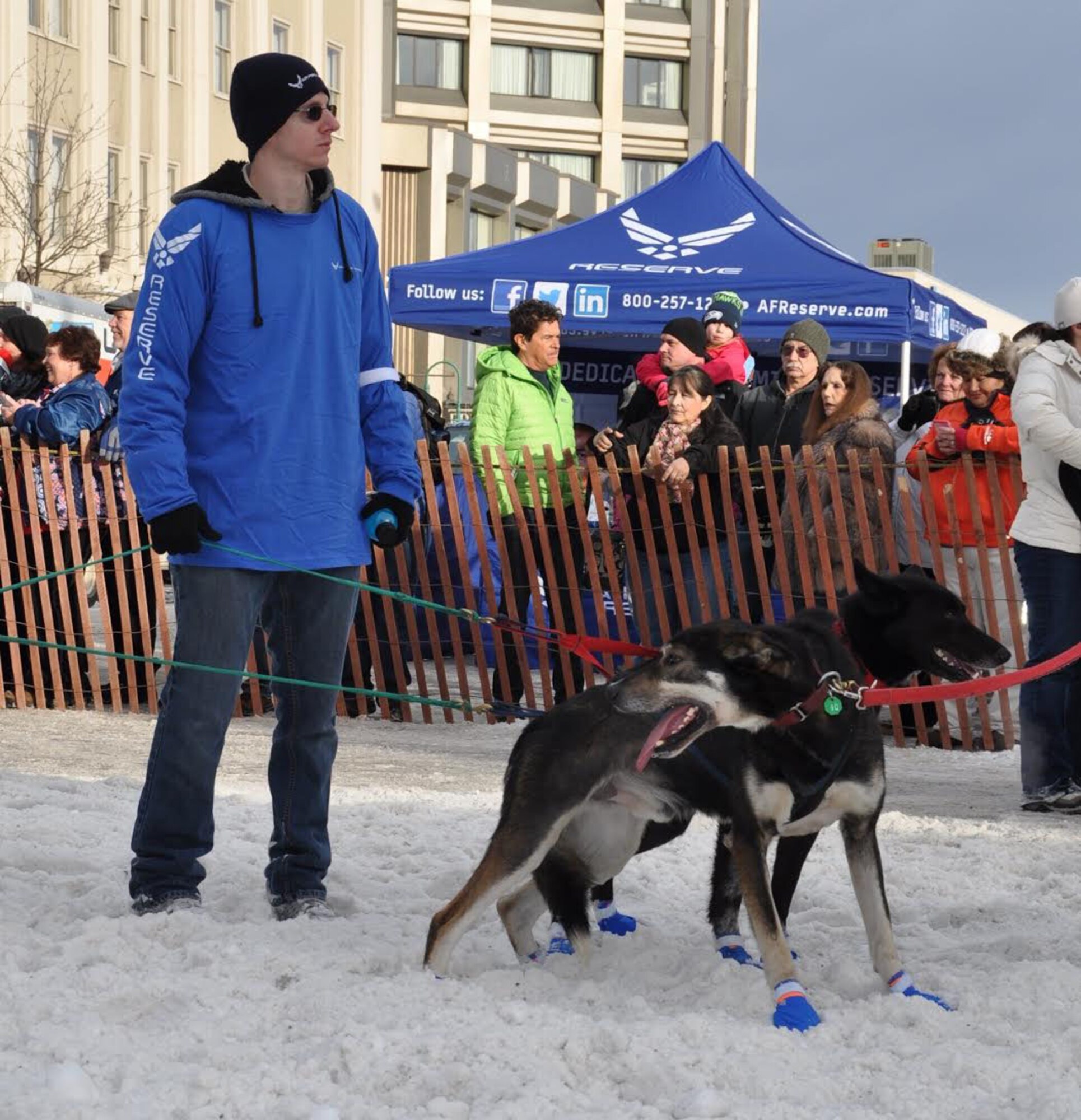 Senior Airman Sean Buono, 477th Force Support Squadron, client systems technician volunteered as a dog handler for an Iditarod team during the ceremonial start in Anchorage, Alaska March 5.  For the second year in a row the Air Force Reserve is a Lead Dog Sponsor for the Iditarod Race, known as The Last Great Race on Earth. The Iditarod is a 1,000-mile sled dog race across the rugged terrain of Alaska. (U.S. Air Force / Tech. Sgt. Kimberly Rae Moore)

