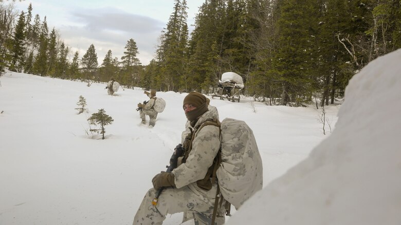 Marines with Black Sea Rotational Force conduct patrols during Exercise Cold Response 16 near Namsos, Norway, Mar. 4, 2016. The exercise is a Norwegian invitational previously-scheduled exercise that involves approximately 16,000 troops from 13 NATO and partner countries.