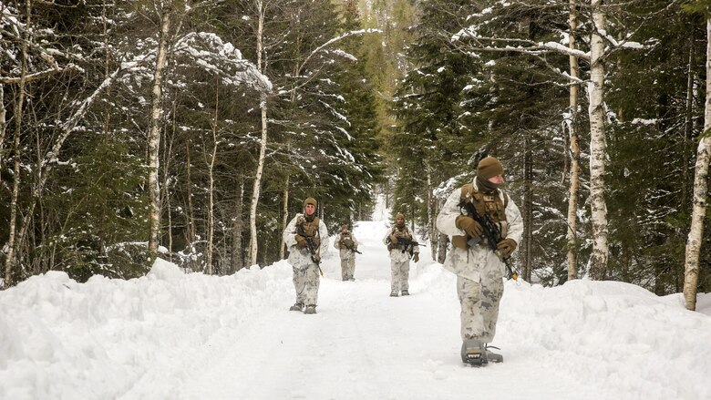 Marines with Black Sea Rotational Force scan the area on a security patrol during Exercise Cold Response 16 near Namsos, Norway, Mar. 4, 2016. The exercise is a Norwegian invitational previously-scheduled exercise that involves approximately 16,000 troops from 13 NATO and partner countries. 
