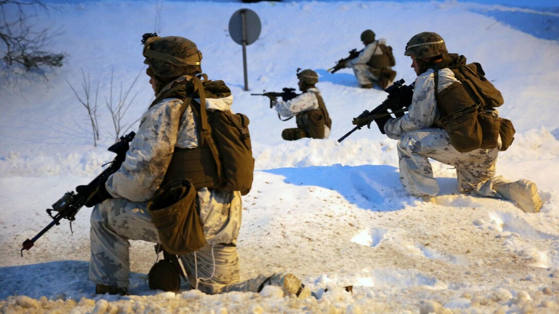 Marines with 2nd Low Altitude Air Defense Battalion post security in Namsos, Norway, March 3, 2016, during Exercise Cold Response 16. The landing reinforced the unit’s capabilities of operating in winter terrain and cold-weather environments. During Cold Response, 13 NATO allies and partner nations and about 15,000 troops enhance their skill sets and strengthen their bonds.