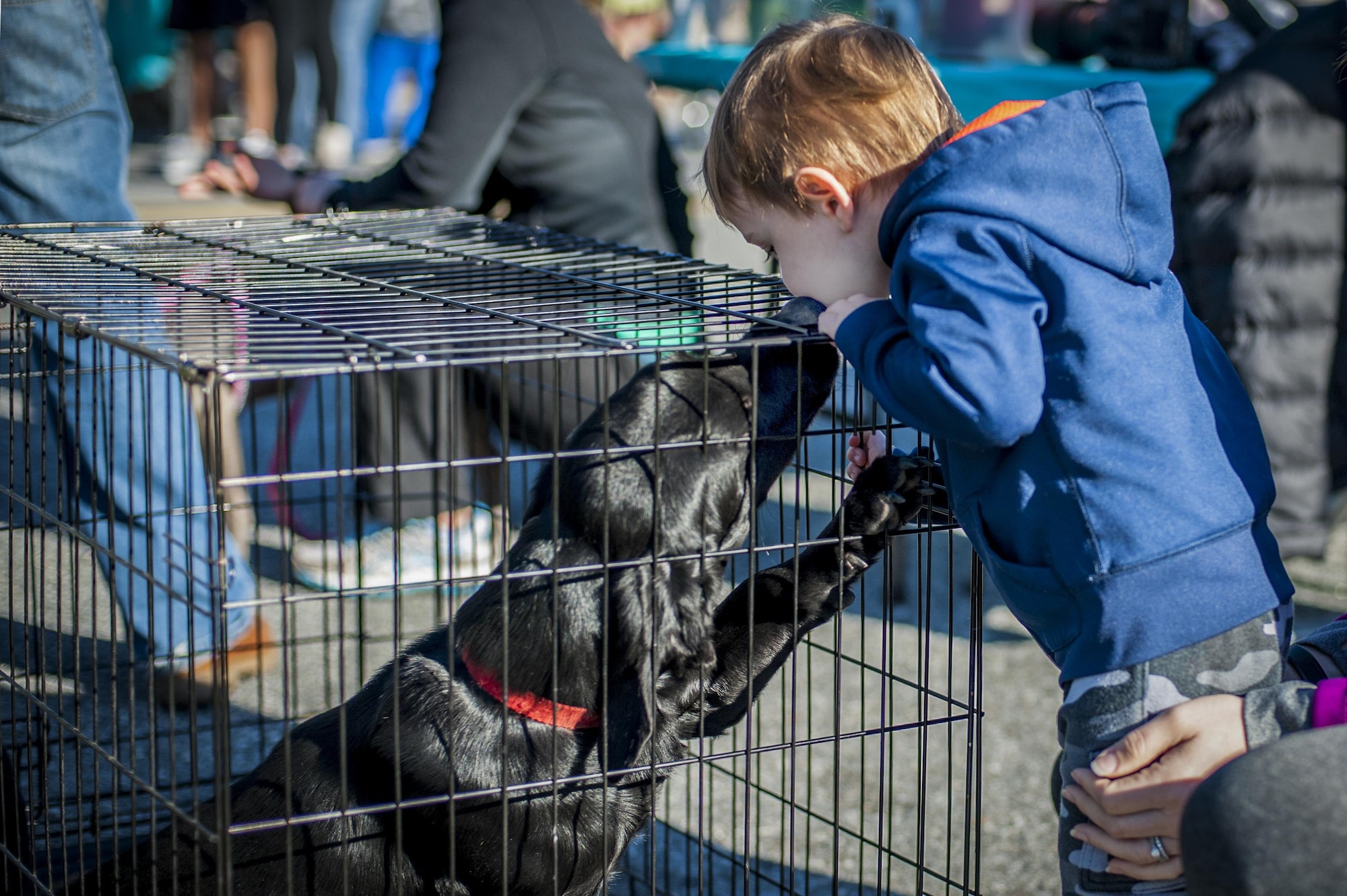 Elliot Freeman, son of U.S. Air Force Staff Sgt. Brian Freeman, 23d Medical Group pharmacy technician, kisses a rescue dog during the Family & Furry Friends 5k, March 5, 2016, at Moody Air Force Base, Ga. A local dog rescue agency was on site with dogs available for adoption. (U.S. Air Force photo by Airman 1st Class Lauren M. Johnson)