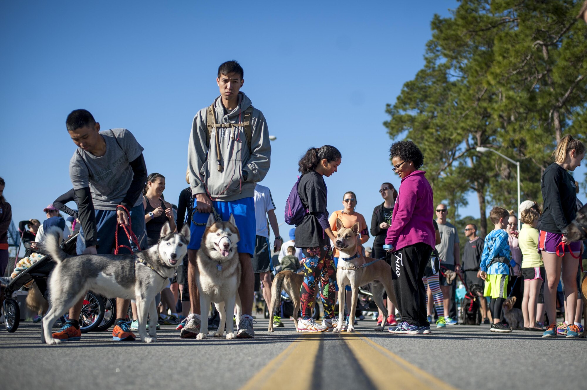 Participants line up to begin the Family & Furry Friends 5k, March 5, 2016, at Moody Air Force Base, Ga. The event was designed to encourage families to maintain their health and wellness by participating in physical activity with their dogs. (U.S. Air Force photo by Airman 1st Class Lauren M. Johnson)