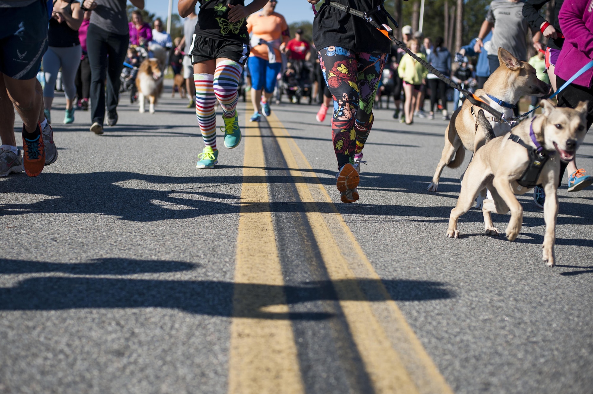 Participants begin the Family & Furry Friends 5k, March 5, 2016, at Moody Air Force Base, Ga. To encourage health and wellness,  various fruits were available for attendees, as well as dog treats for the furry friends. (U.S. Air Force photo by Airman 1st Class Lauren M. Johnson)