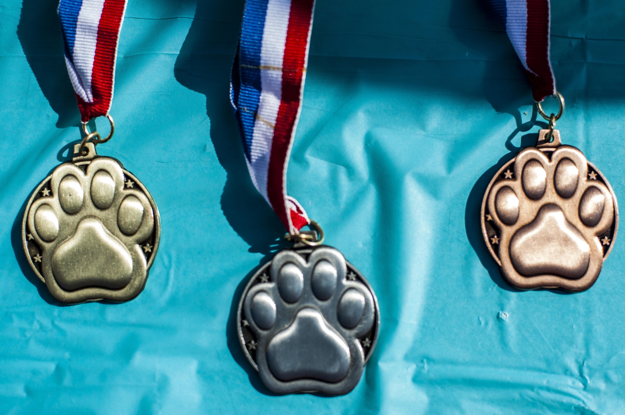 Award medals rest on display during the Family & Furry Friends 5k, March 5, 2016, at Moody Air Force Base, Ga. The medals were awarded to the first three finishing runners: Carson Locke, son of U.S. Air Force Col. Joseph Locke, 93d Air Ground Operations Wing commander, Master Sgt. Jason Bradley, 23d Medical Group family health flight chief, and Boston Boinski, son of Sherri Boinski, 23d Medical Group registered nurse. (U.S. Air Force photo by Airman 1st Class Lauren M. Johnson)
