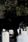 A Joint Base San Antonio-Fort Sam Houston Caisson Section member performs funeral honors Feb. 5 at Fort Sam Houston National Cemetery. The earliest notification that the Caisson Unit will receive for a funeral is 24 hours. The JBSA-Fort Sam Houston Caisson Section provides funeral honors across a 67,000 square-mile area in South Texas.