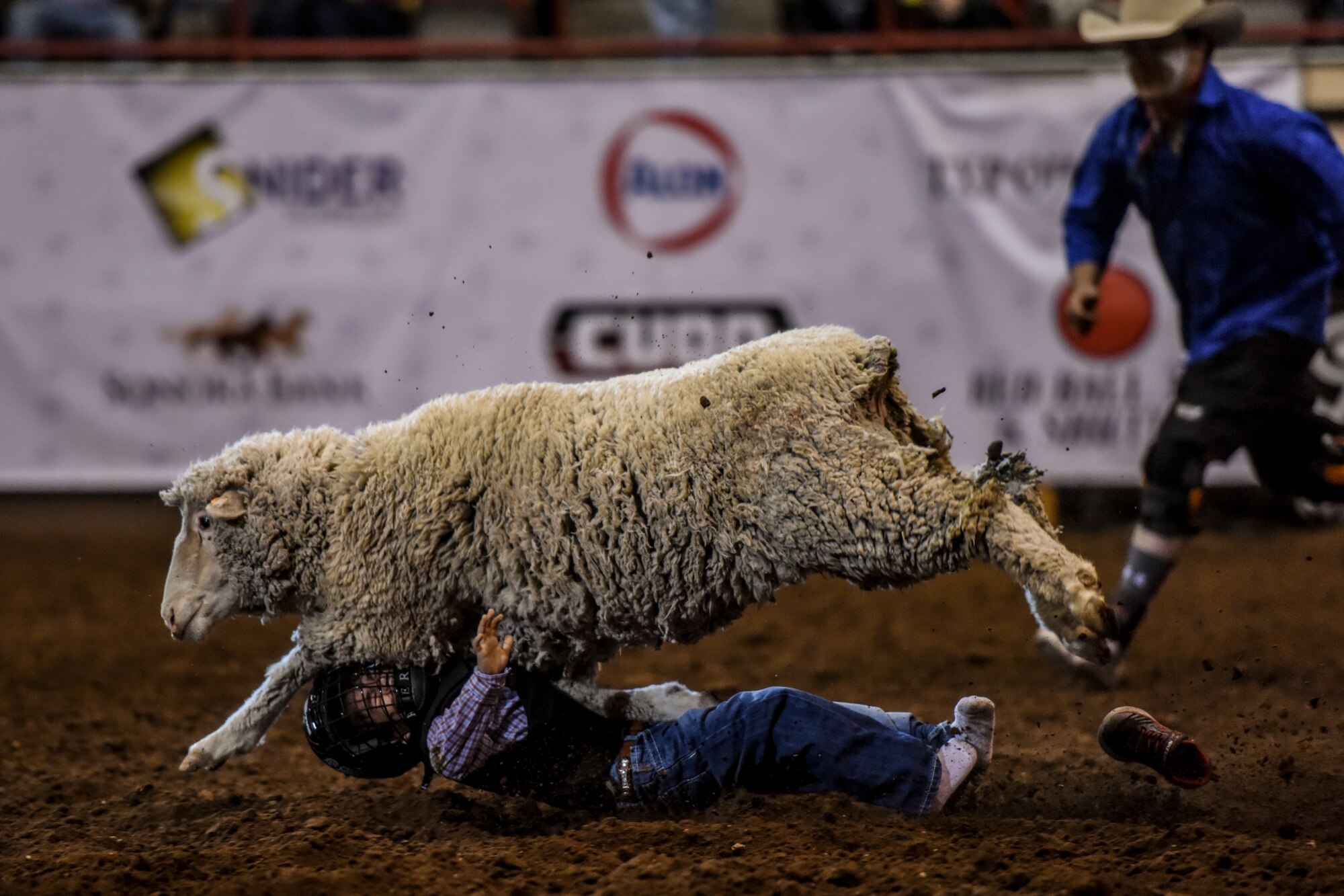 A young local resident loses a shoe after falling off a sheep during the Mutton Bustin’ event as part of the 84th annual San Angelo Stock Show and Rodeo at Foster Communications Coliseum in San Angelo, Texas, Feb. 17, 2016. Participants for the event come from local and surrounding area elementary schools. (U.S. Air Force photo by Senior Airman Devin Boyer/Released)