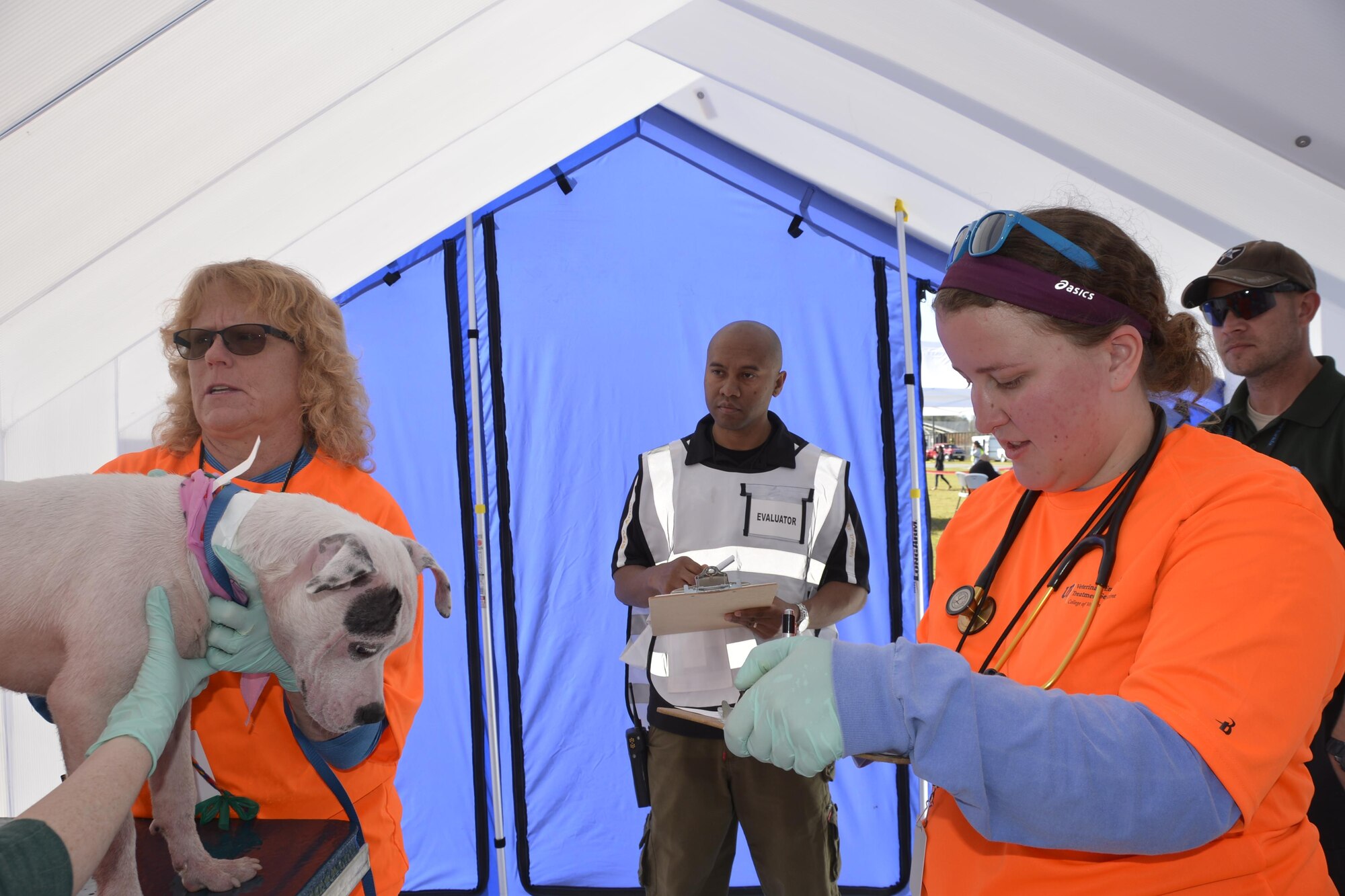 Maj. Lonnie Pirtle, (center), Air Forces Northern Installation & Mission Support Division Readiness Section, watches a medical exam of a dog during an animal-related disaster response workshop at the Bay County Fairgrounds Feb. 28. Hosted by the Florida State Agricultural Response Team and Bay County Emergency Services, the event brought together a wide variety of emergency-response agencies and focused on practicing providing disaster response assistance not only to people, but also their pets. Pirtle was an evaluator during the workshop.