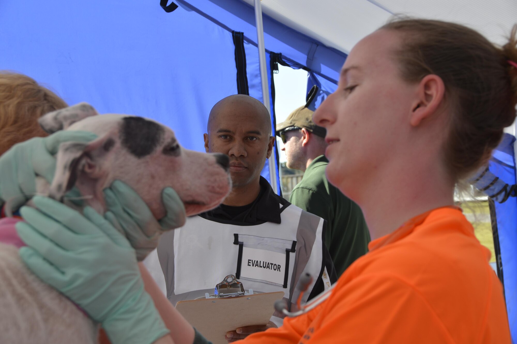 Maj. Lonnie Pirtle, (center), Air Forces Northern Installation & Mission Support Division Readiness Section, watches a medical exam of a dog during an animal-related disaster response workshop at the Bay County Fairgrounds Feb. 28. Hosted by the Florida State Agricultural Response Team and Bay County Emergency Services, the event brought together a wide variety of emergency-response agencies and focused on practicing providing disaster response assistance not only to people, but also their pets. Pirtle was an evaluator during the workshop.