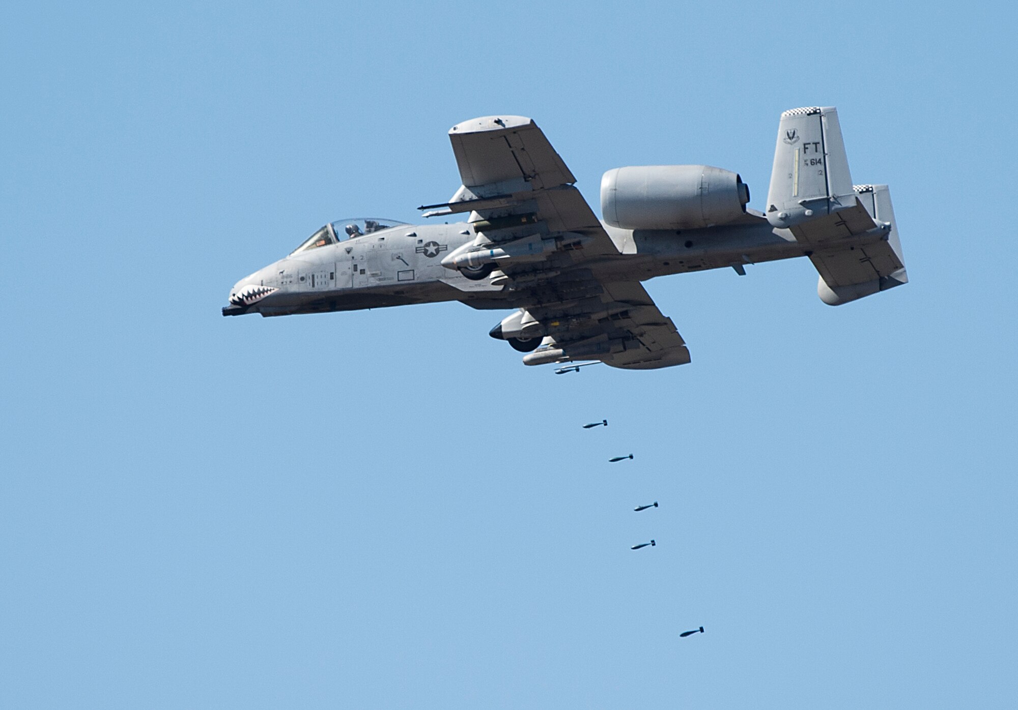 An A-10 Thunderbolt II drops practice bombs over the Grand Bay Bombing and Gunnery Range at Moody Air Force Base, Ga., Feb. 11, 2016. Multiple U.S. Air Force aircraft within Air Combat Command conducted joint aerial training that showcased the aircrafts tactical air and ground maneuvers, as well as its weapons capabilities. (U.S. Air Force photo by Staff Sgt. Brian J. Valencia/Released)