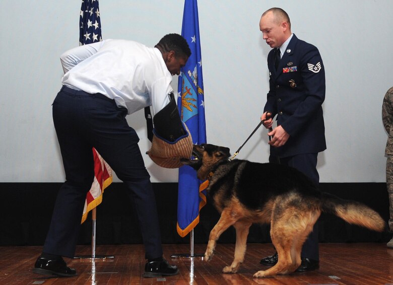 22nd Security Forces Squadron military working dog Bengus, ceremoniously takes his last bite as a MWD during his retirement ceremony, March 11, 2016, at McConnell Air Force Base, Kan. Bengus was formally retired after nine years of active duty dedication and service. (U.S. Air Force photo/Senior Airman Tara Fadenrecht)