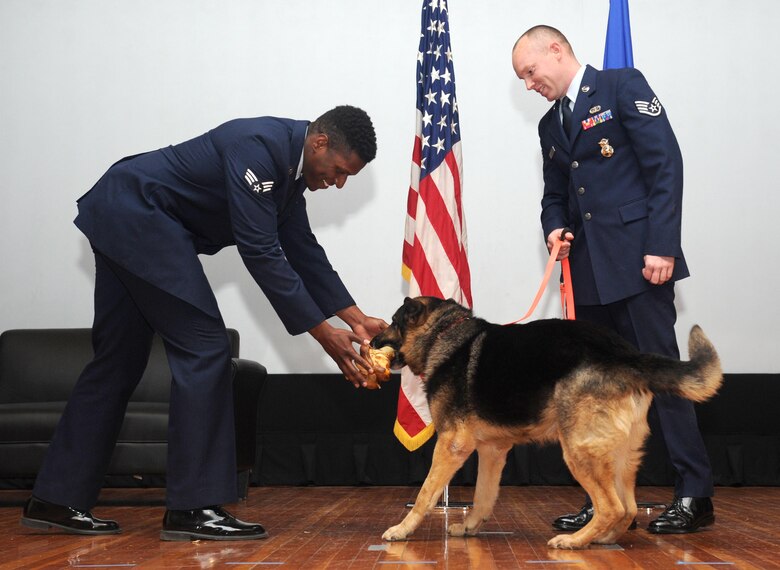 Former 22nd Security Forces Squadron military working dog Bengus, takes his first bite of food as a civilian while his new owner, Staff Sgt. Dustin Combs, 22nd SFS military working dog handler, looks on during Bengus’ retirement ceremony, March 11, 2016 at McConnell Air Force Base. Bengus served 63 dog years in the Air Force and will continue his retirement as a pet. (U.S. Air Force photo/Senior Airman Tara Fadenrecht)