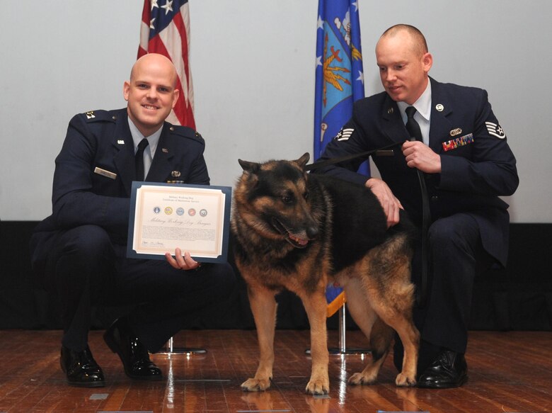 Capt. Chase Shields, 22nd Security Forces Squadron operations officer, presents military working dog, Bengus, with a certificate of meritorious service, March 11, 2016, at McConnell Air Force Base, Kan. During his years of service, Bengus executed more than 800 random antiterrorism measures, safeguarding 15,000 military and civilian personnel and $6 billion in vital Air Force assets. (U.S. Air Force photo/Senior Airman Tara Fadenrecht)