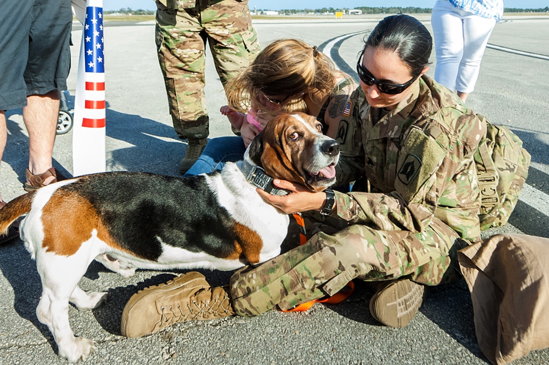 A Florida National Guard soldier reunites with family members in Daytona Beach, Fla., March 10, 2016, upon returning from a deployment to Afghanistan. The soldier is assigned to the 1st Battalion, 265th Air Defense Artillery Regiment. Florida National Guard photo