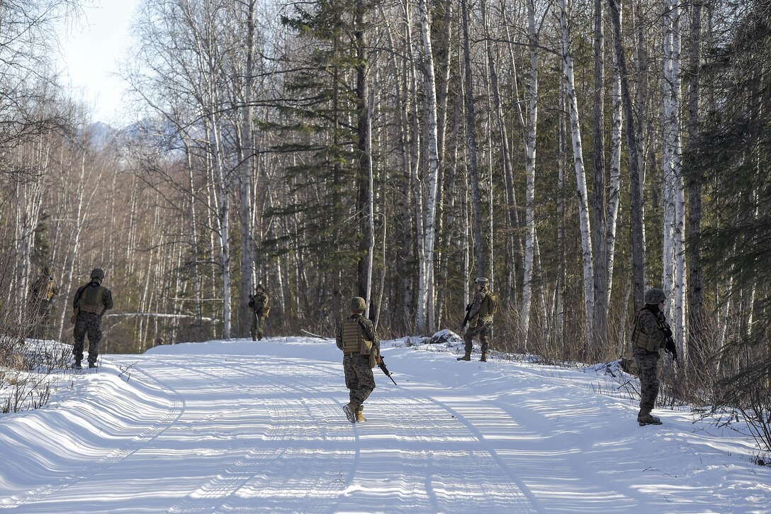 Marines patrol while en route to Baumeister City for urban terrain training on Joint Base Elmendorf-Richardson, Alaska, March 6, 2016. Air Force photo by Alejandro Pena