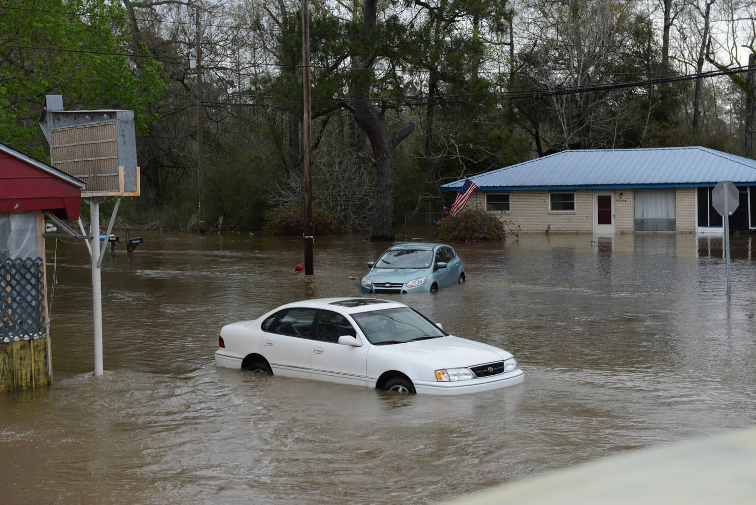 Cars in Ponchatoula