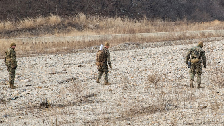 U.S. Marine explosive ordnance disposal technicians with the 13th Marine Expeditionary Unit sweep a range for undetonated explosives during Exercise Ssang Yong 16 on Suseongri live-fire range, Pohang, South Korea, March 13, 2016. Ssang Yong is a biennial combined amphibious exercise conducted by U.S. forces with the Republic of Korea Navy and Marine Corps, Australian Army and Royal New Zealand Army Forces in order to strengthen interoperability and working relationships across a wide range of military operations.