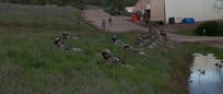 U.S. Army Reserve Soldiers react to contact during Combat Support Training Exercise 78-16-01 at Fort Hunter Liggett, Calif. Nearly 40 units from the U.S. Army Reserve, U.S. Air Force and Canadian Armed Forces trained at Joint Base McGuire-Dix-Lakehurst, N.J., Fort Knox, Ky. and Fort Hunter Liggett, Calif., as part of the 84th Training Command's CSTX 78-16-01. This exercise marks the first CSTX of 2016 and is hosted by the 78th Training Division. (U.S. Army photo by Staff Sgt. Debralee Best)