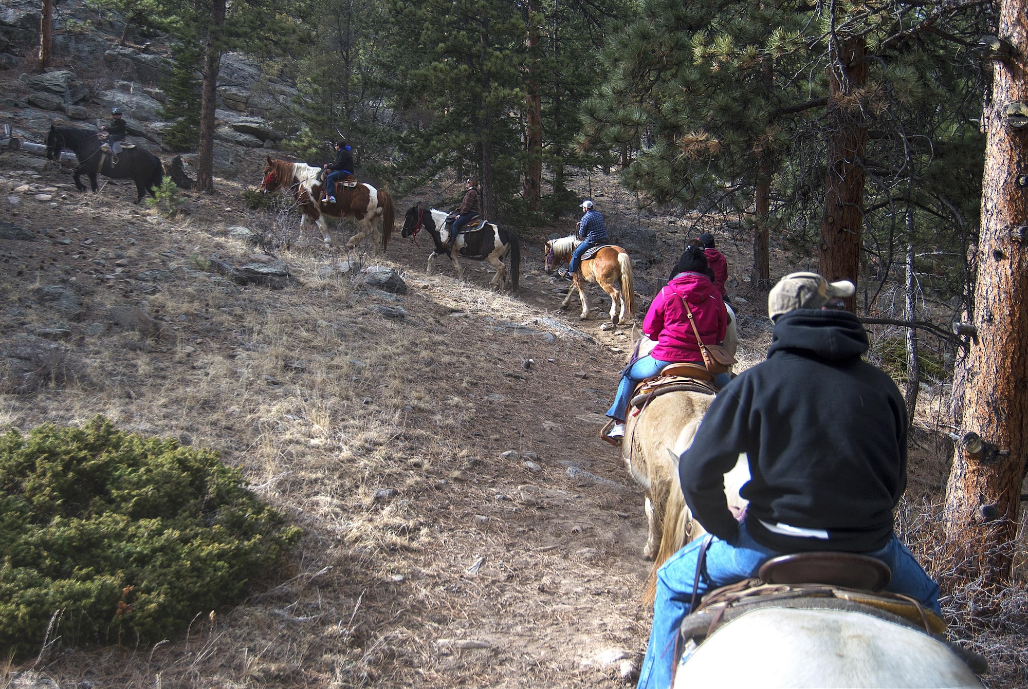 A line of Airmen, retirees and dependents from F.E. Warren Air Force Base, Wyo., thread their mounts along a trail in the Arapaho-Roosevelt National Forest near Estes Park, Colo., March 13, 2016. A group of ten came down to horseback ride as part of a trip set up by the base’s Outdoor Recreation office. (U.S. Air Force Photo by R.J. Oriez)