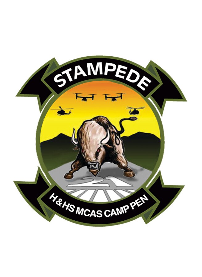 MCAS H&HS new and improved unit logo.