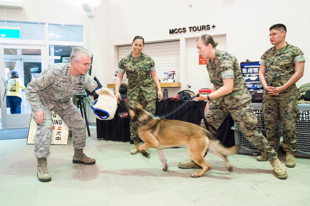 Air Force Gen. Paul J. Selva, left, vice chairman of the Joint Chiefs of Staff, participates in military working dog training with Marines during the USO spring entertainment tour stop at Camp Hansen, Japan, March 13, 2016. DoD photo by Army Staff Sgt. Sean K. Harp