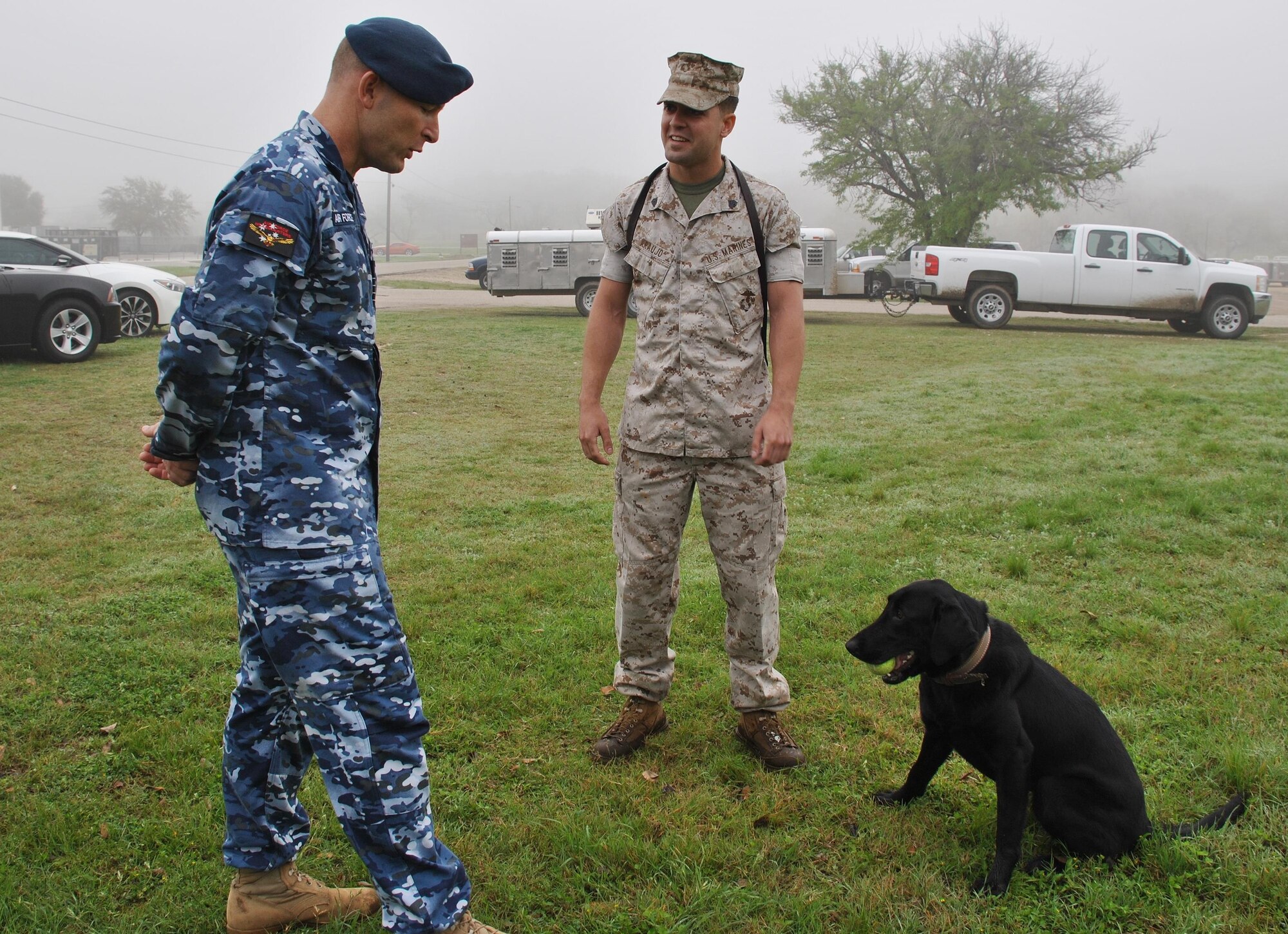 U.S. Marine Corps Sgt. Joshua Araujo, chief handler for military working dog Jaye, briefs Royal Australian Air Force Group Capt. Wayne Kelly during a detection demonstration at the Department of Defense Military Working Dog School, Joint Base San Antonio-Lackland, Texas. During Kelly's visit, Arajuo explained U.S. Air Force MWD procedures and techniques. (U.S. Air Force photo/Carole Chiles Fuller/Released)