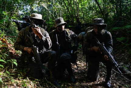 Guatemalan marines communicate with a second team during a training exercise March 9, 2016, Guatemala testing their abilities to coordinate squad-level movements. The Guatemalan marines partnered with Marines from a U.S. Marine Security Cooperation Team, to exchange best practices and techniques for countering transnational criminals. (U.S. Air Force photo by Staff Sgt. Westin Warburton/RELEASED)