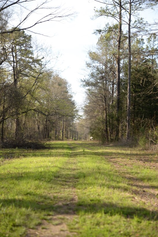 The nature trails on Columbus Air Force Base, Mississippi, are available for walking, running, biking or even horseback riding. Trails are open year-round, even during hunting season, as the trails are an off-limits area to gun hunting. (U.S. Air Force photo/Airman 1st Class John Day)