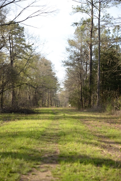 The nature trails on Columbus Air Force Base, Mississippi, are available for walking, running, biking or even horseback riding. Trails are open year-round, even during hunting season, as the trails are an off-limits area to gun hunting. (U.S. Air Force photo/Airman 1st Class John Day)