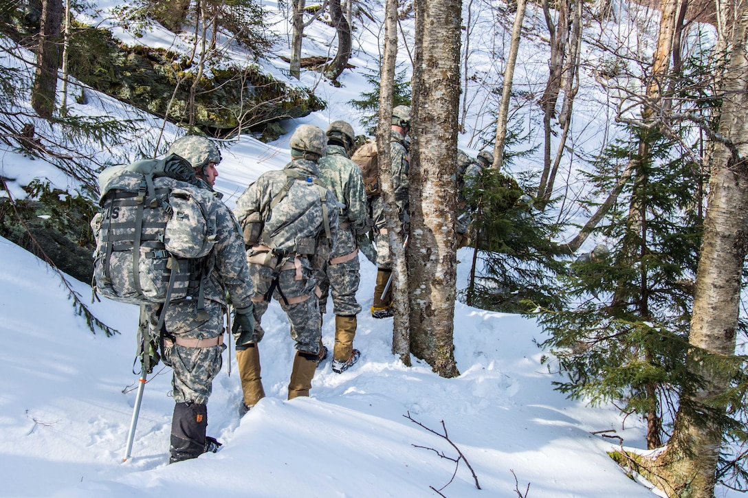 Soldiers practice team movement through an Alpine environment at Smuggler's Notch, Jeffersonville, Vt., March 5, 2016. Vermont Army National Guard photo by Staff Sgt. Chelsea Clark