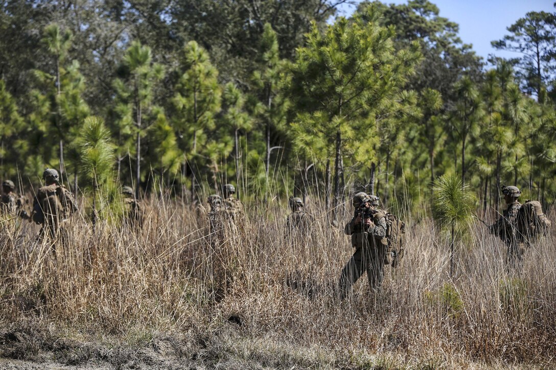 Marines conduct a security patrol during a field exercise on Camp Lejeune, N.C., March 9, 2016. The Marines are assigned to 2nd Battalion, 8th Marine Regiment. Throughout their patrol, the company was sporadically assaulted by an opposing force equipped with simulated rifles, hand grenades and rocket-propelled grenade launchers to test their ability to respond to enemy contact and execute proper procedures. Marine Corps photo by Cpl. Paul S. Martinez