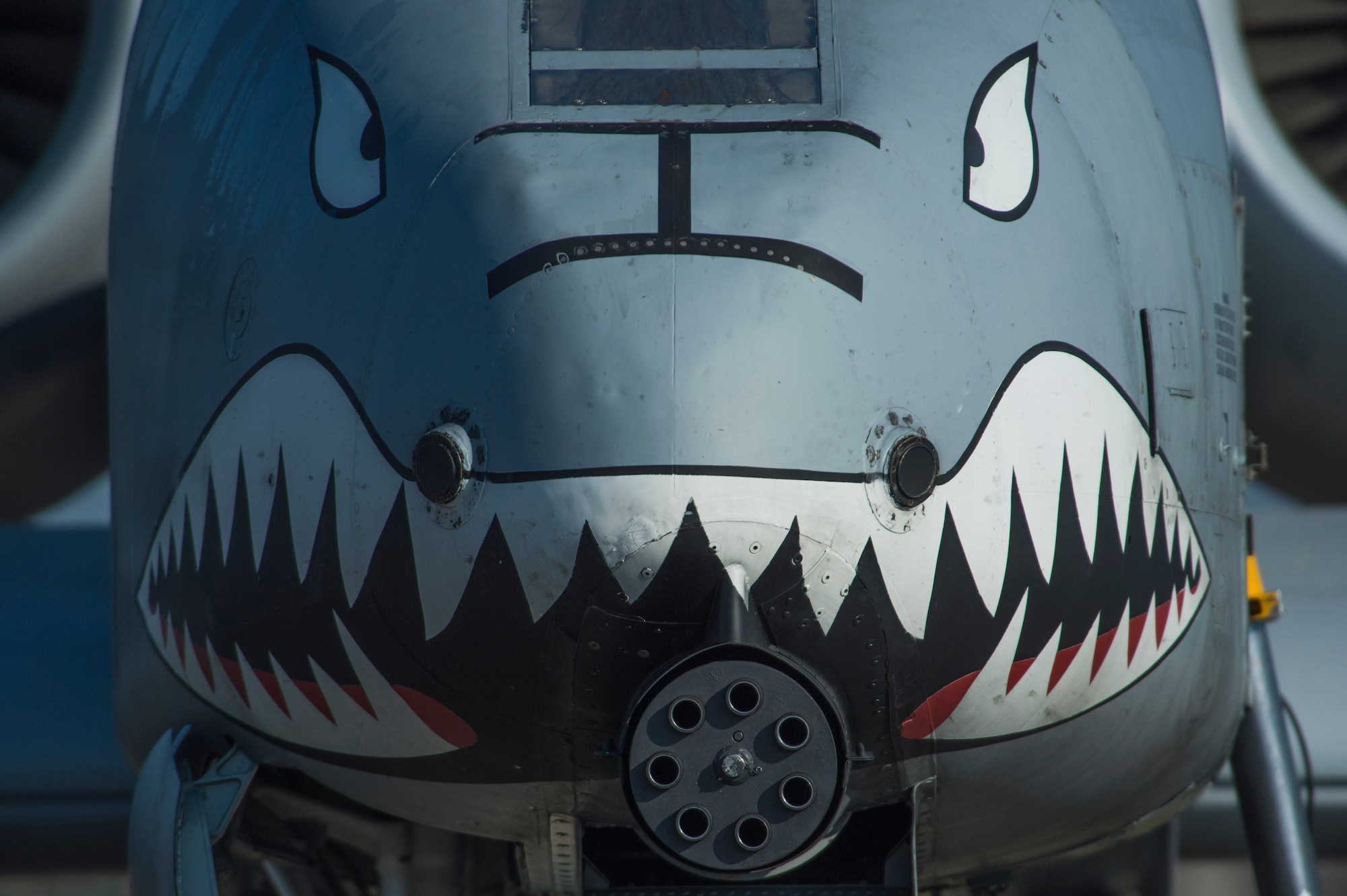 The nose of a U.S. Air Force A-10 Thunderbolt II displays a painted set of eyes and teeth over the aircraft’s 30mm GAU-8 Avenger rotary cannon during the 74th Expeditionary Fighter Squadron’s deployment in support of Operation Atlantic Resolve at Graf Ignatievo, Bulgaria, March 18, 2016.  The painting dates back throughout aviation history, where some cultures believed the paint intimidated opponents or warded off evil spirits aimed at disrupting the flight. (U.S. Air Force photo by Staff Sgt. Joe W. McFadden/Released)