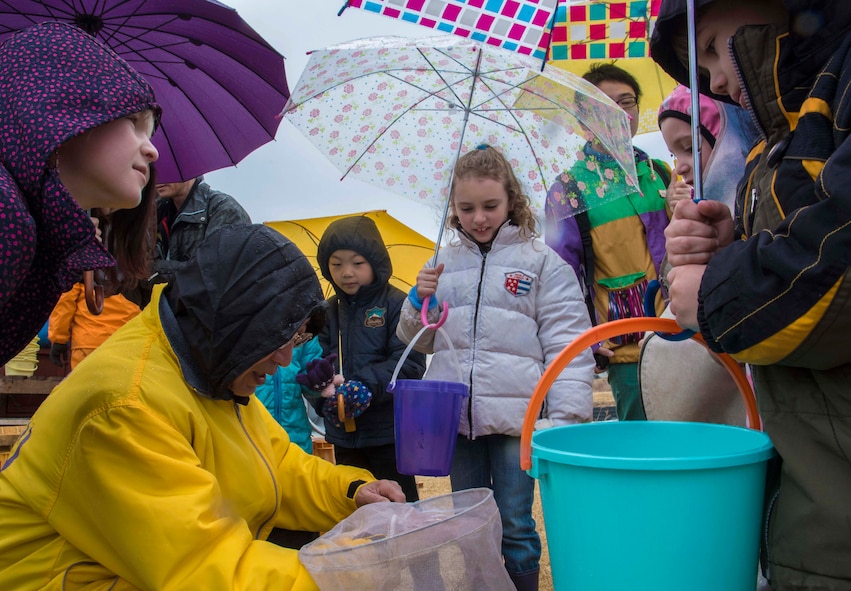 Children peer at a baby salmon at the Oirase Salmon Park, Japan, March 19, 2016. Salmon take approximately two to three years to grow up, spend another couple years in the ocean and then return to their home to lay eggs. Members of the local Japanese and Misawa Air Base communities attended the event to release the fish into the Oirase River, helping them carry out their life cycle. (U.S. Air Force photo by Airman 1st Class Jordyn Fetter) 