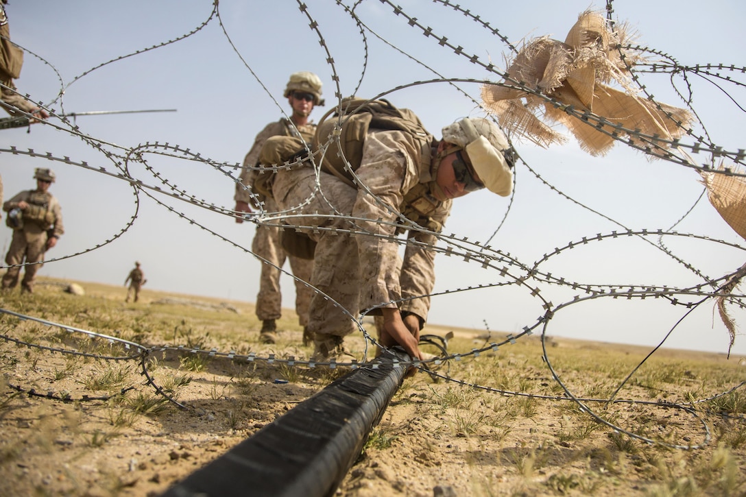 A Marine places a Bangalore torpedo under concertina wire during a demolition training range in Southwest Asia, March 9, 2016. Marine Corps photo by Cpl. Akeel Austin